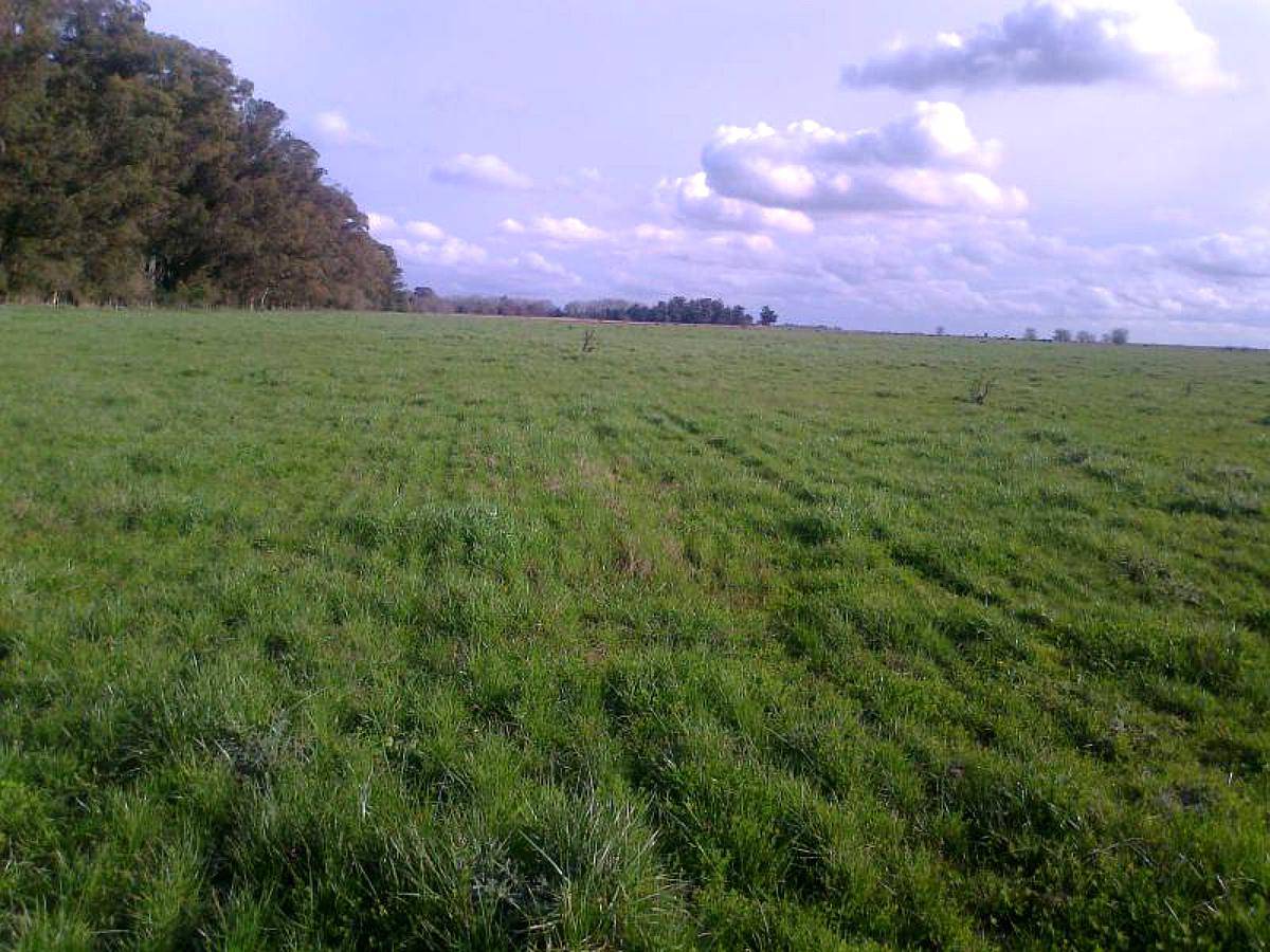 Campo Agricola Ganadero en Alquiler o Venta 2812 Hectáreas