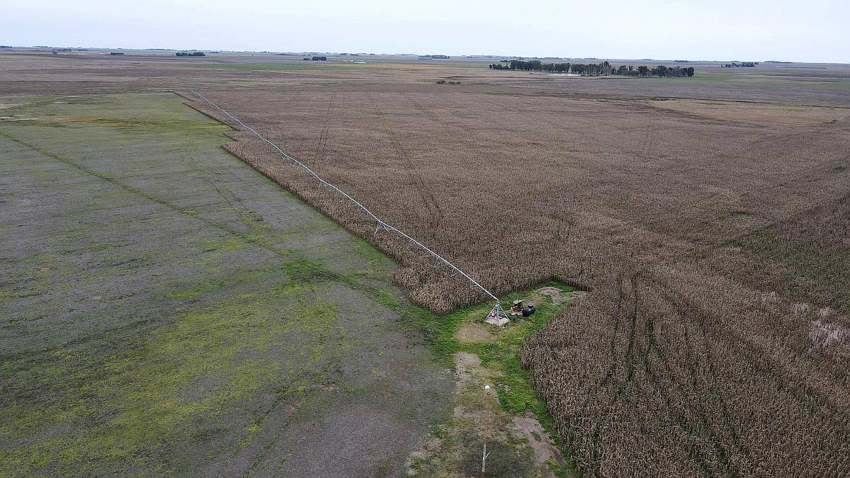 La Primavera, Coronel Suarez, Buenos Aires - 210 Ha