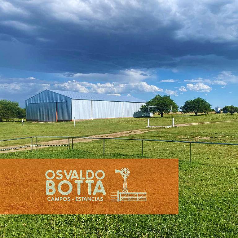 Campo Agricola-ganadero – 900 Ha Guatrache, la Pampa