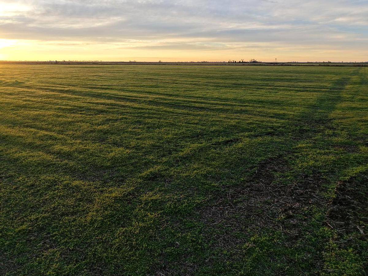 51 HA. Agrícola. el Trebol (santa FE)