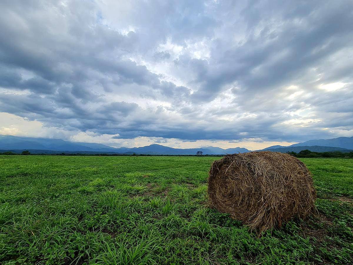 La Viña , Salta, Argentina