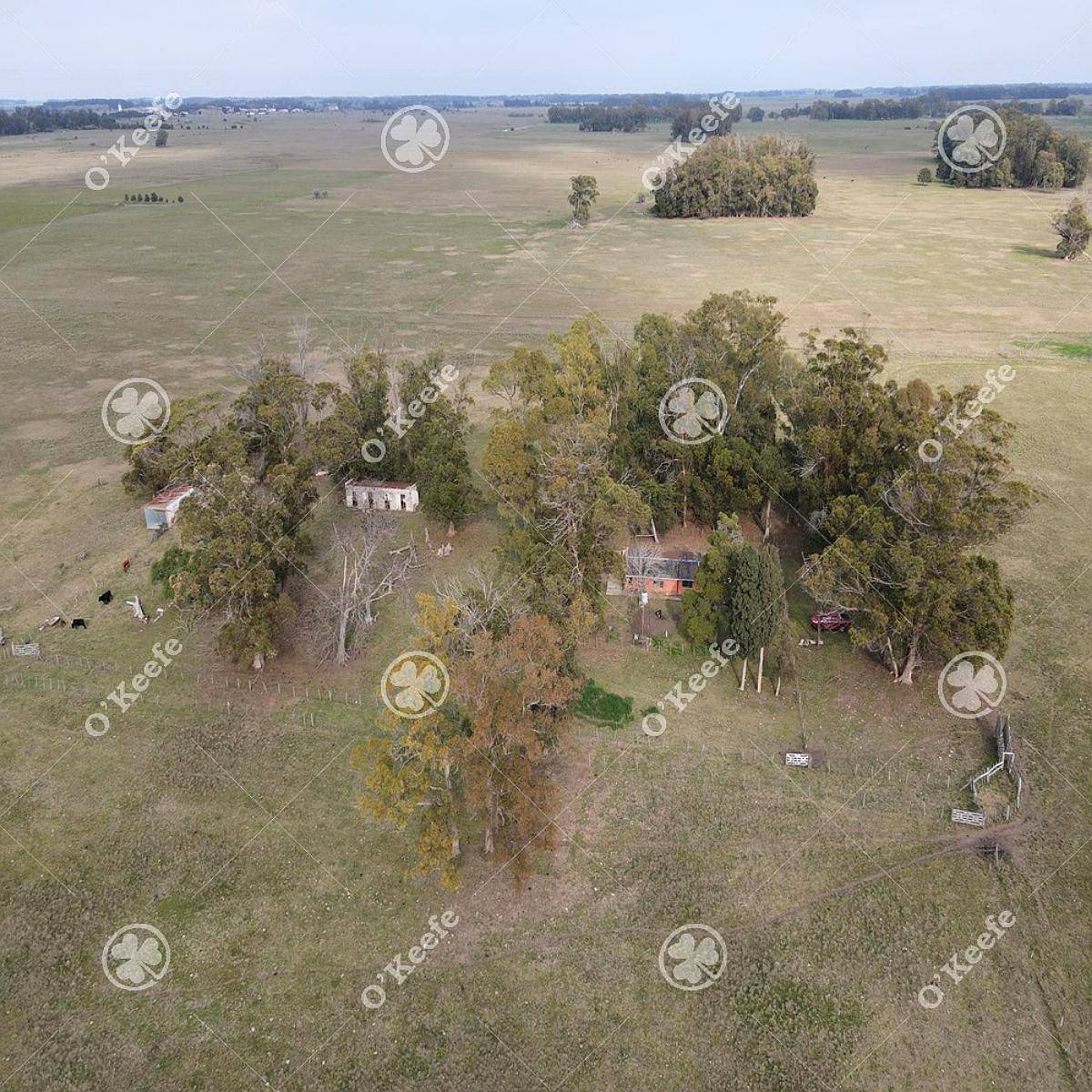 Campo en Venta 57 Has en Veronica