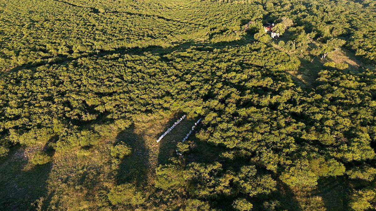 Campo Ganadero Costa Uruguay SUR