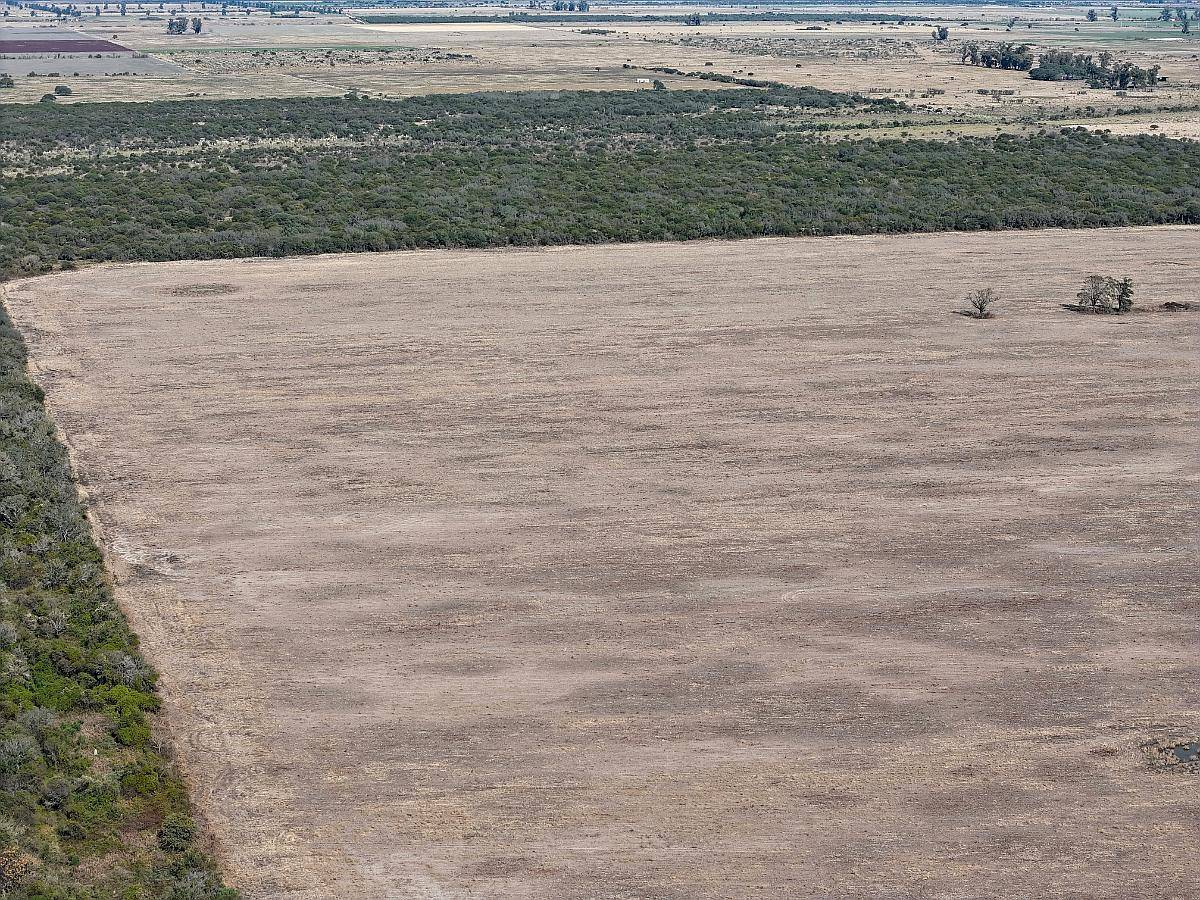 115 Has Aptitud Agrícolas SA Pereira las Colonias Santa FE