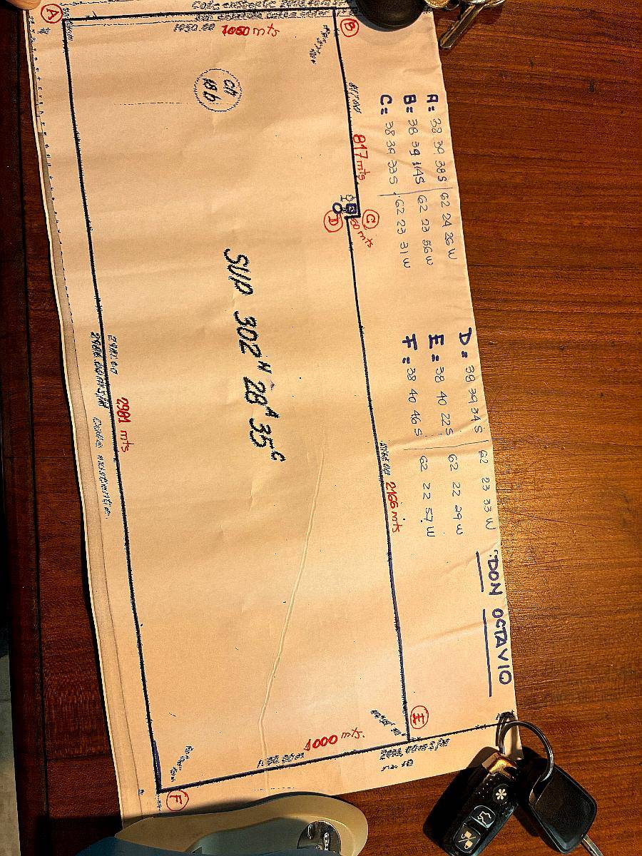 Don Octavio Campo de Cria