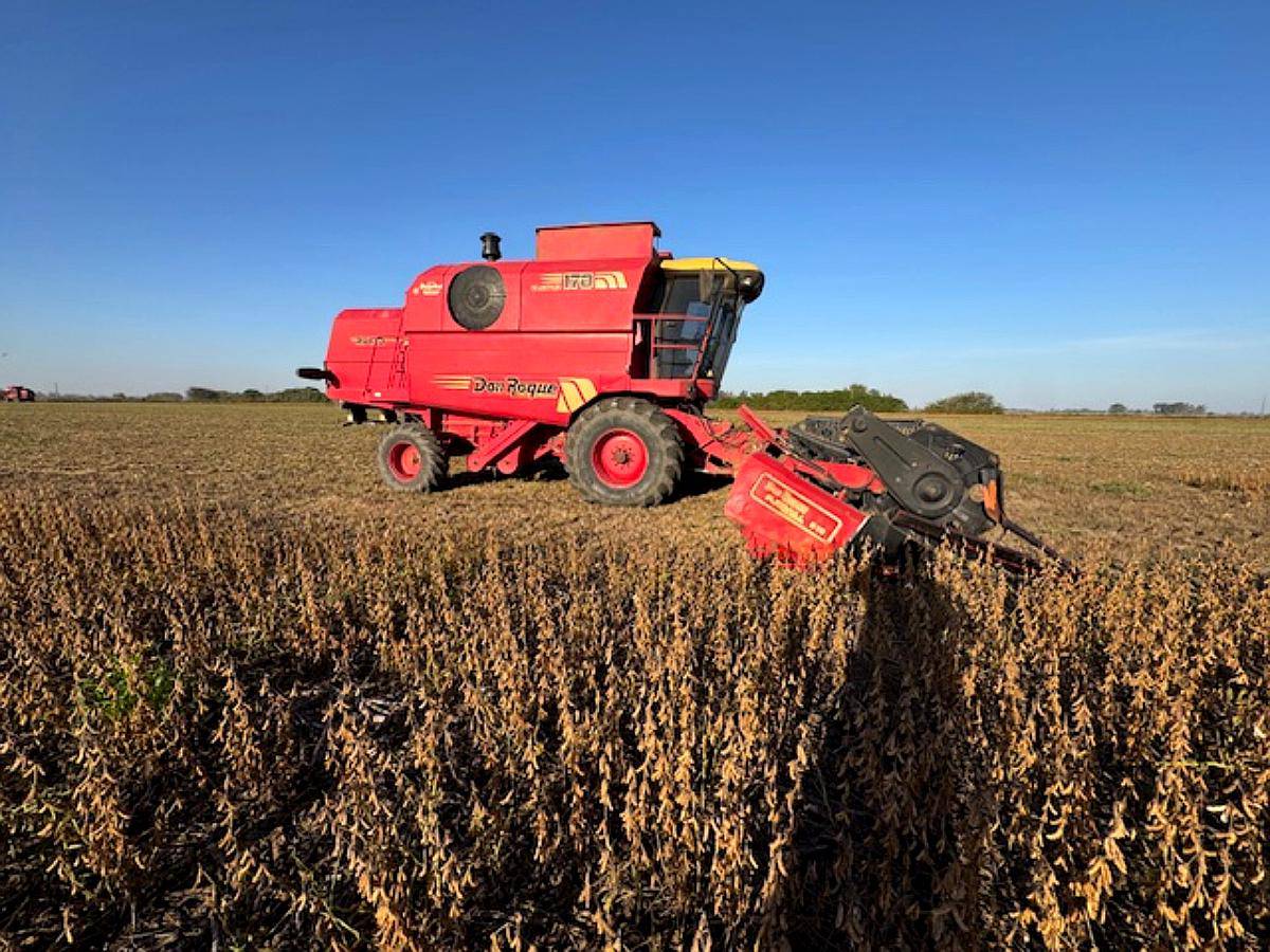 Don Roque RV170 Excelente Estado Biancucci Maquinarias