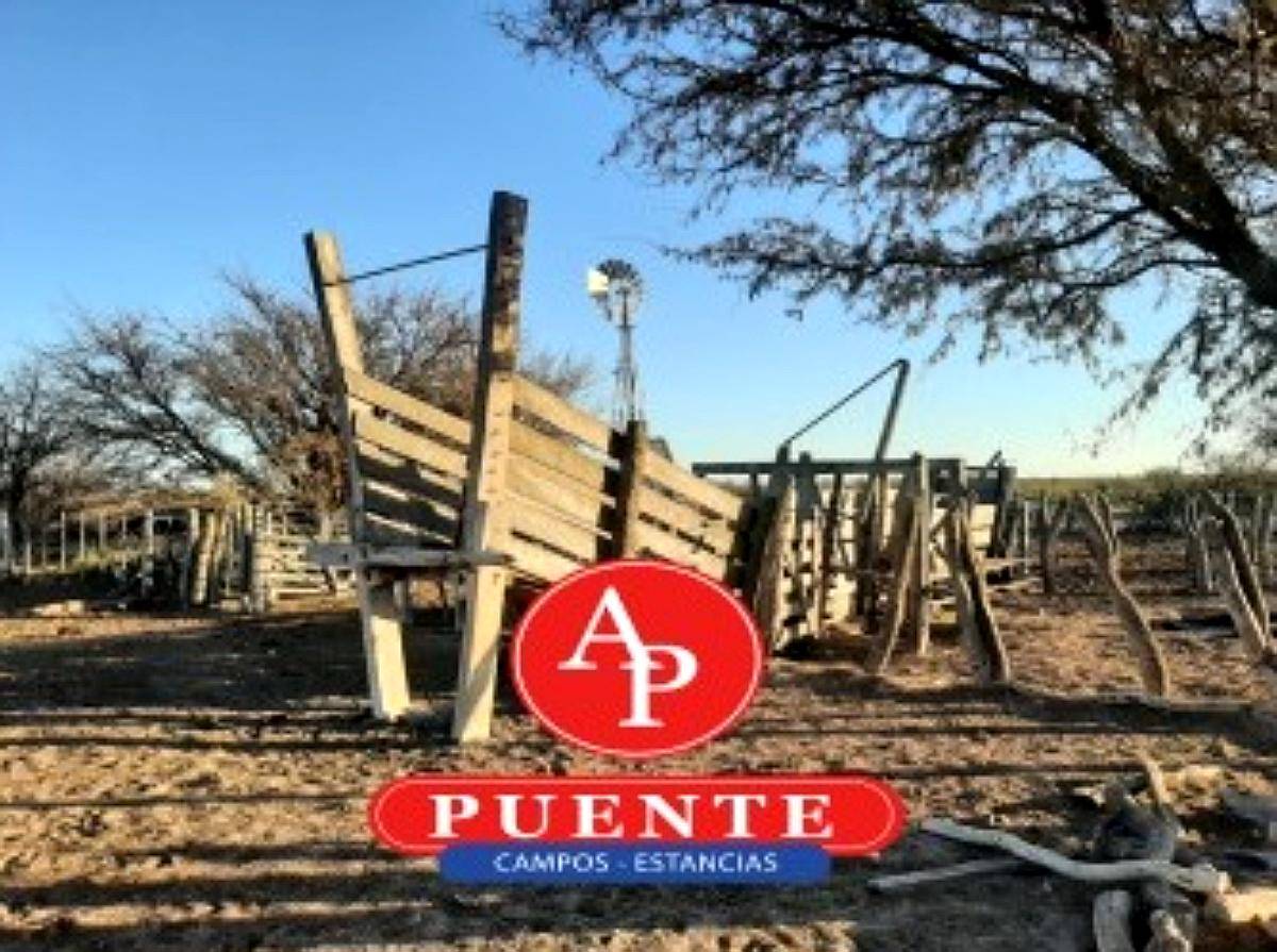 En Venta 2500, Cuchillo CÓ, la Pampa