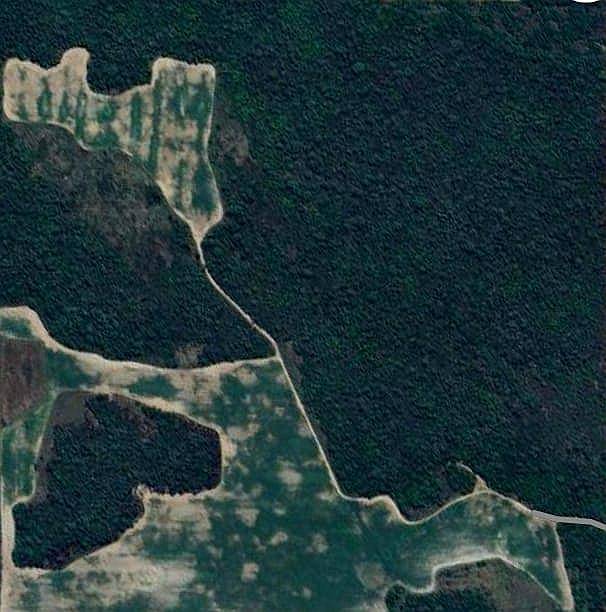 Vendo Campo Agrícola en las Breñas