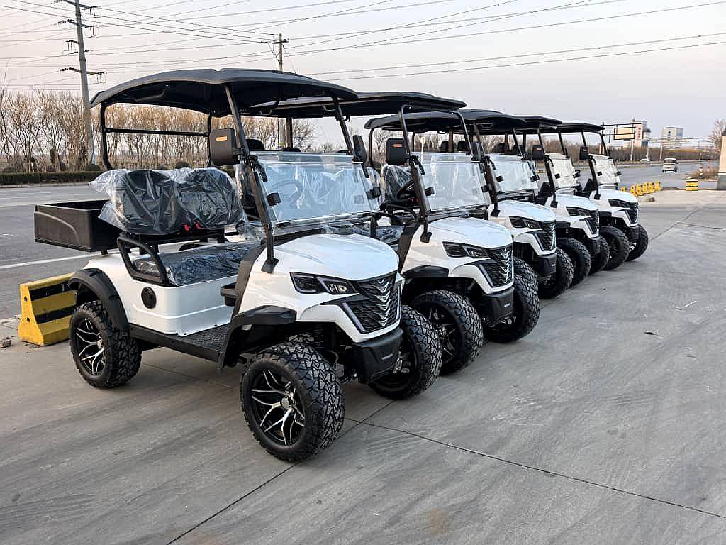 Golf Cart Electric Nexus 2/4/6 Asientos + Cajon