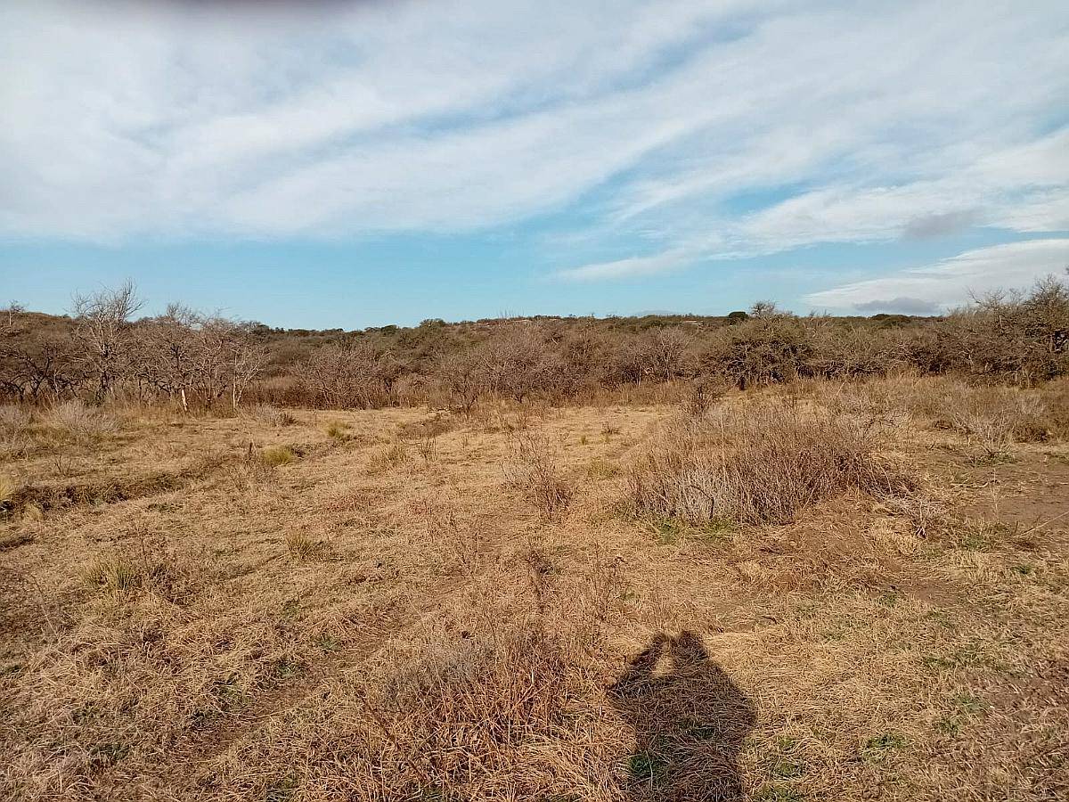 Venta de 213 Ha Ganaderas en Berrotarán