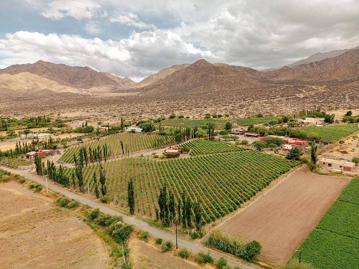 Pcia. de Salta - Bodega Miraluna - Cachi 16 Has