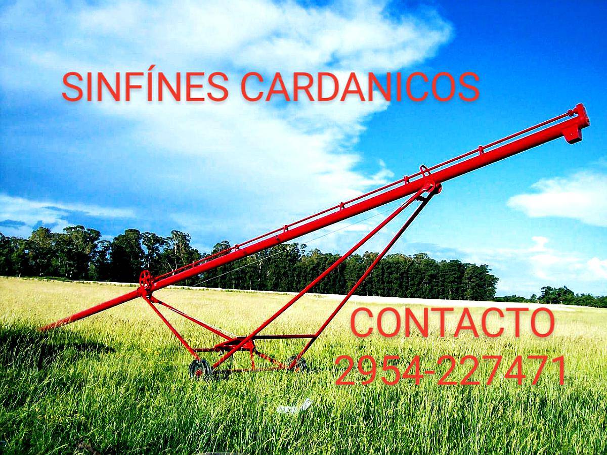 Sin Fin Cardanico Metalmen Colonia Menonita