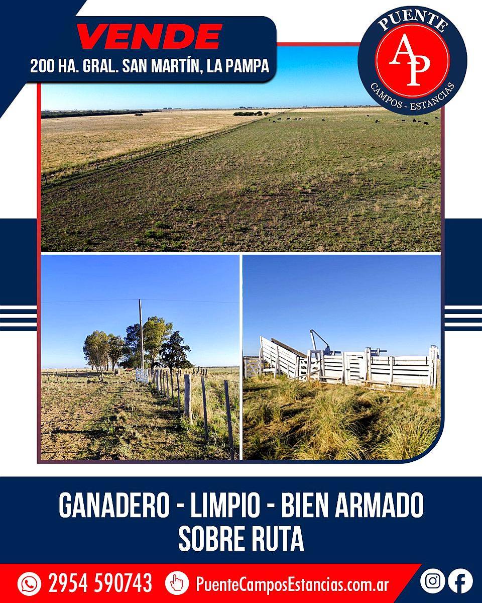 En Venta 200 HA. General San Martín, la Pampa