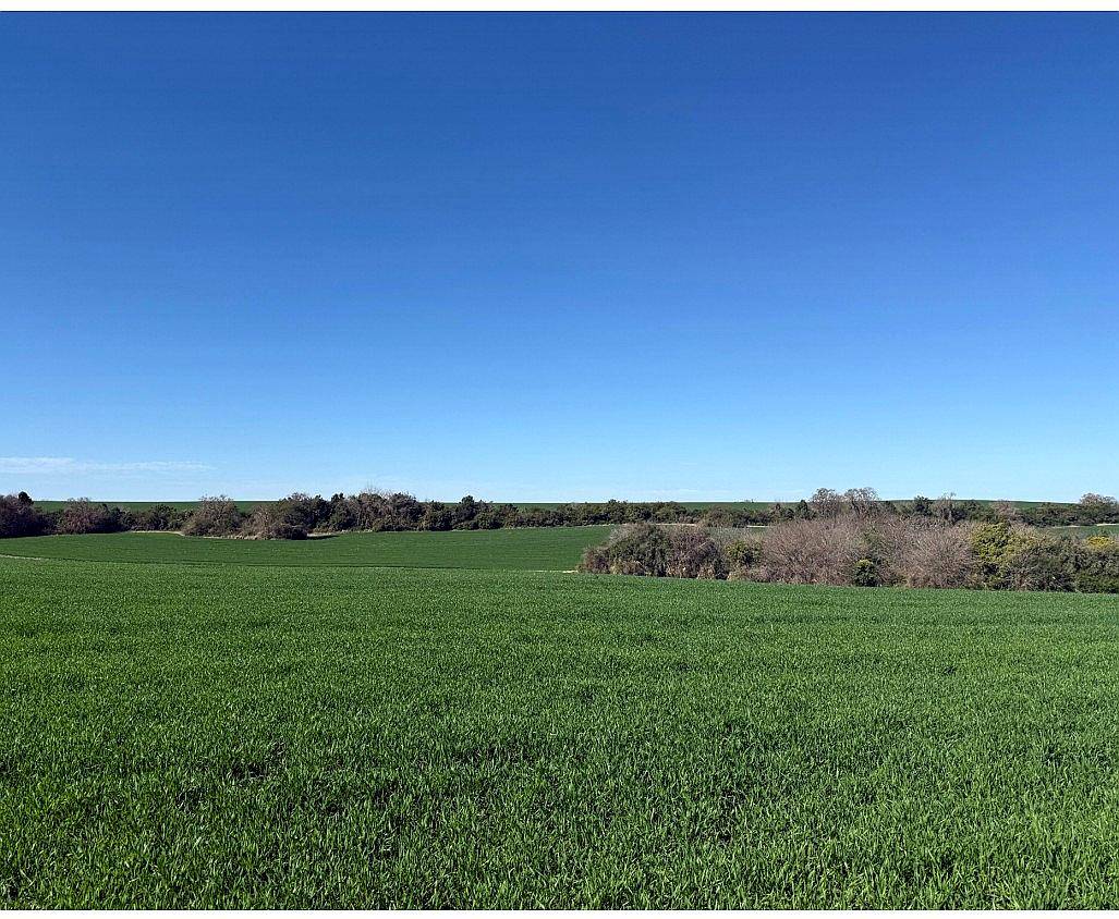 Vendo 450 Hectáreas Ganaderas