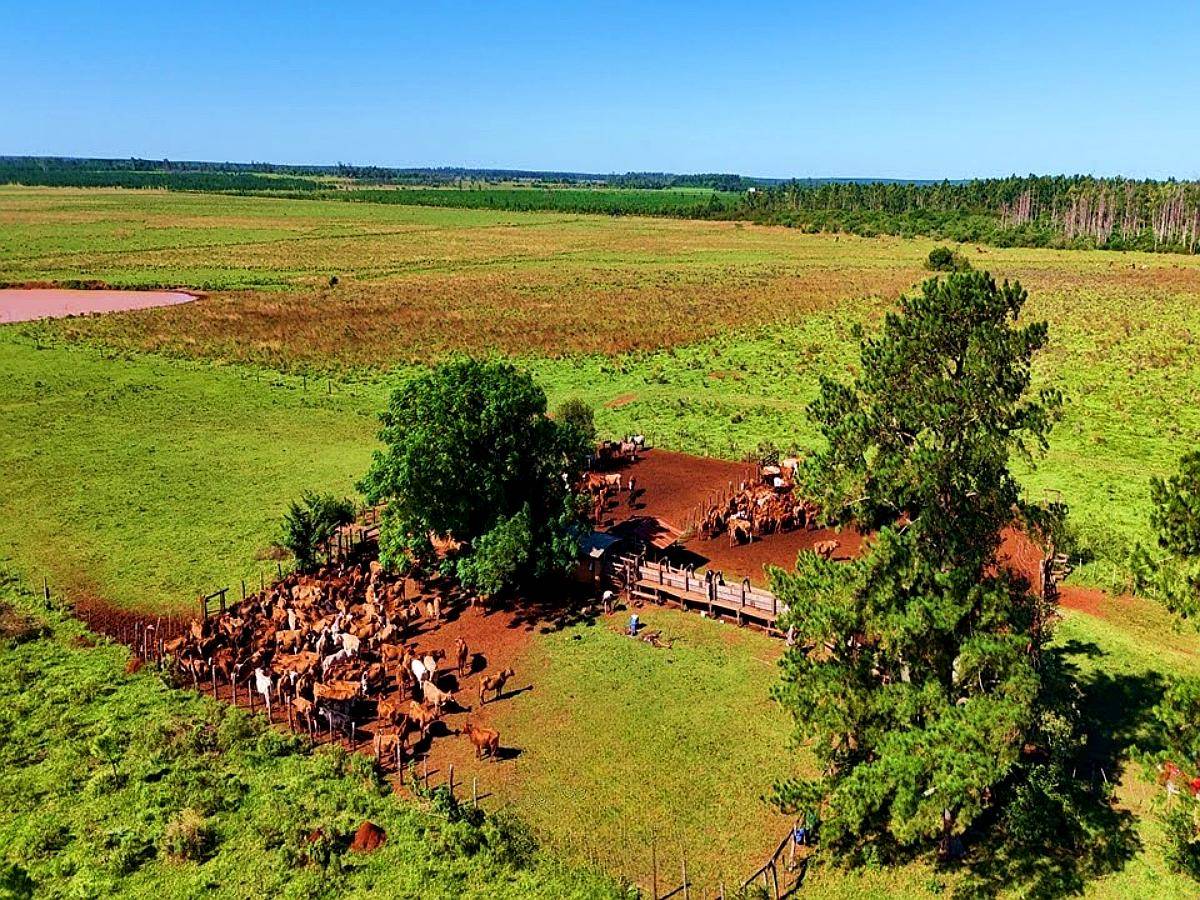 Santo Tomé - 2365 Ha - Corrientes