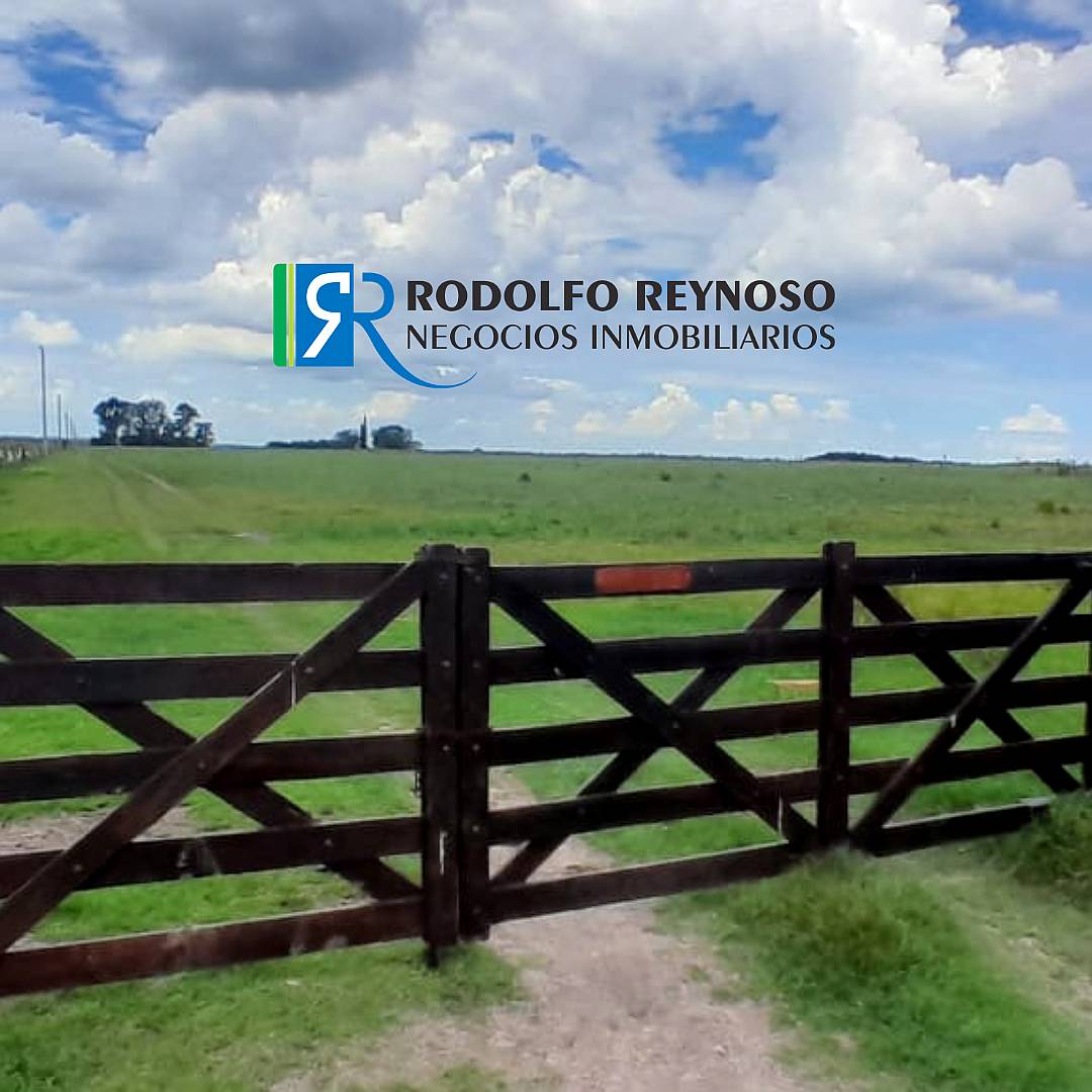 100 Ha en Concepción del Uruguay