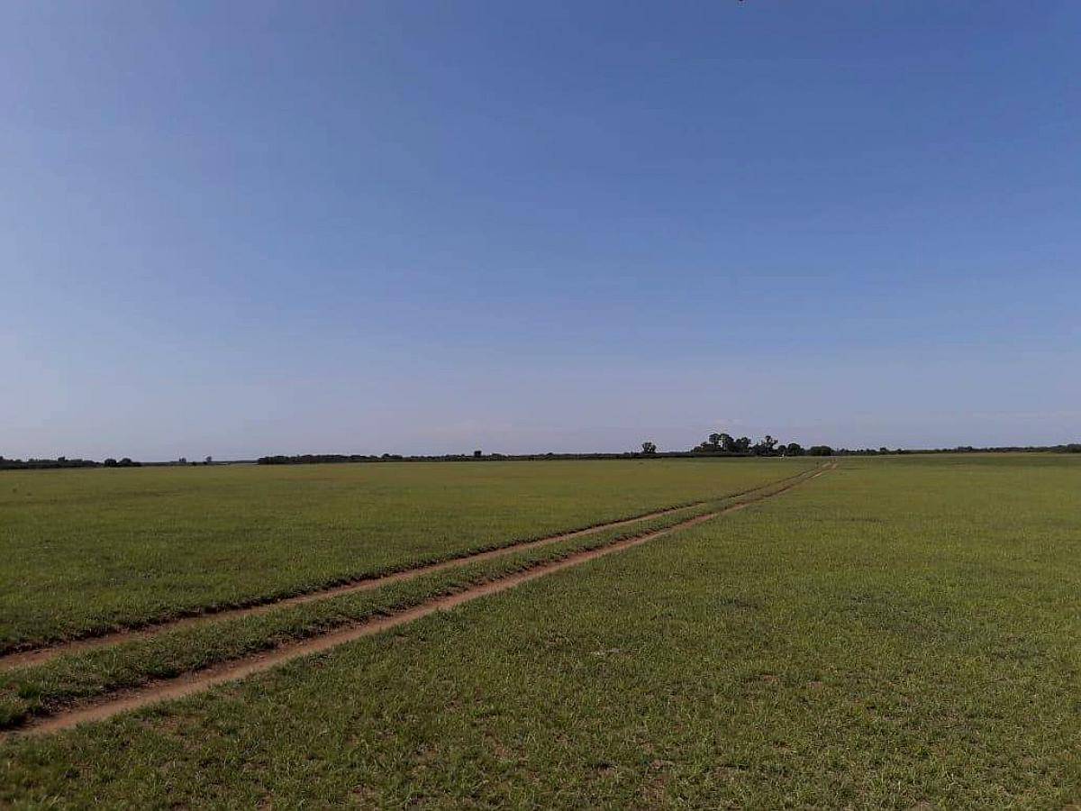 Alquilo Campo Mixto, Zona Buena Esperanza