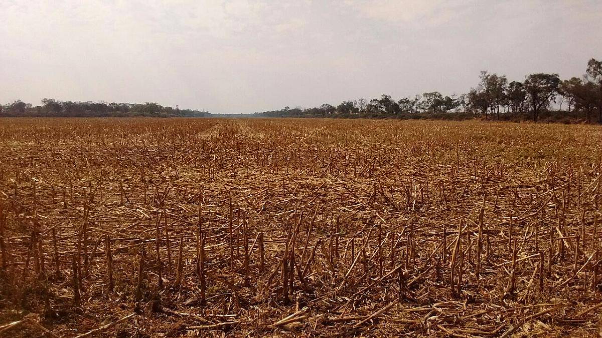 Santiago del Estero -1900 Has -para Desarrollar-