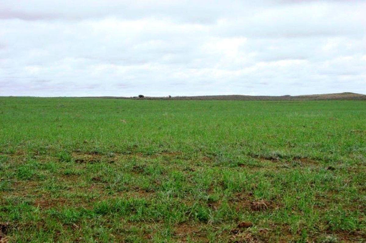 Venta de Campo Ganadero 5000 Has Utracán, la Pampa