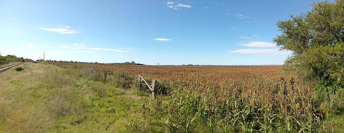 66 HA. Zona Hernández. Agrícola sin Desperdicio