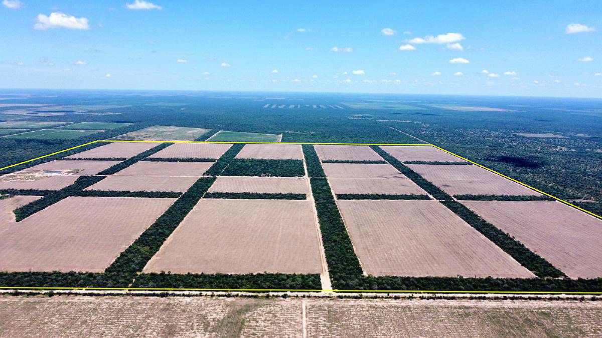 901 Has en Venta - Pcia del Chaco, Depto. Guemes