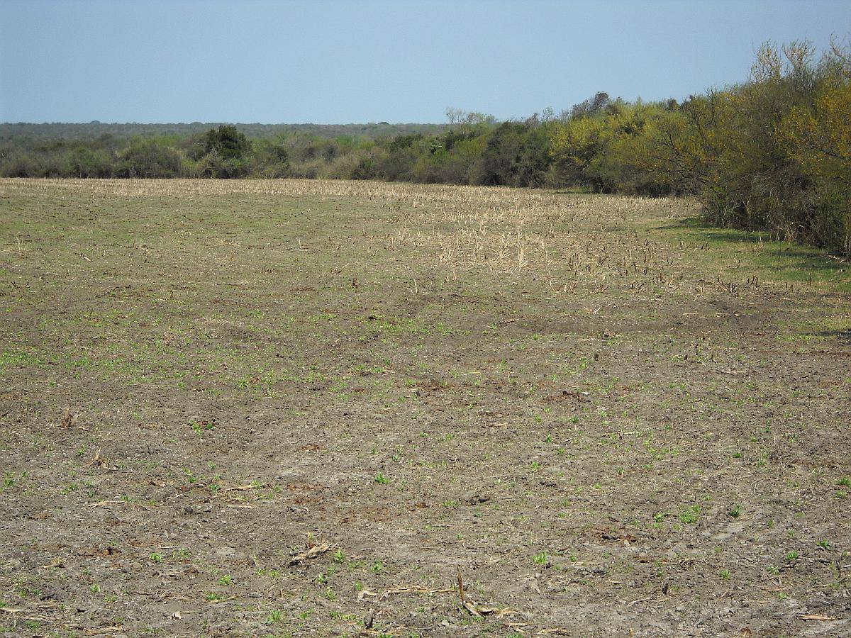 Entre Rios, la PAZ Vendo 222 Has Mixto - u$s 2.850 / ha - Agroads