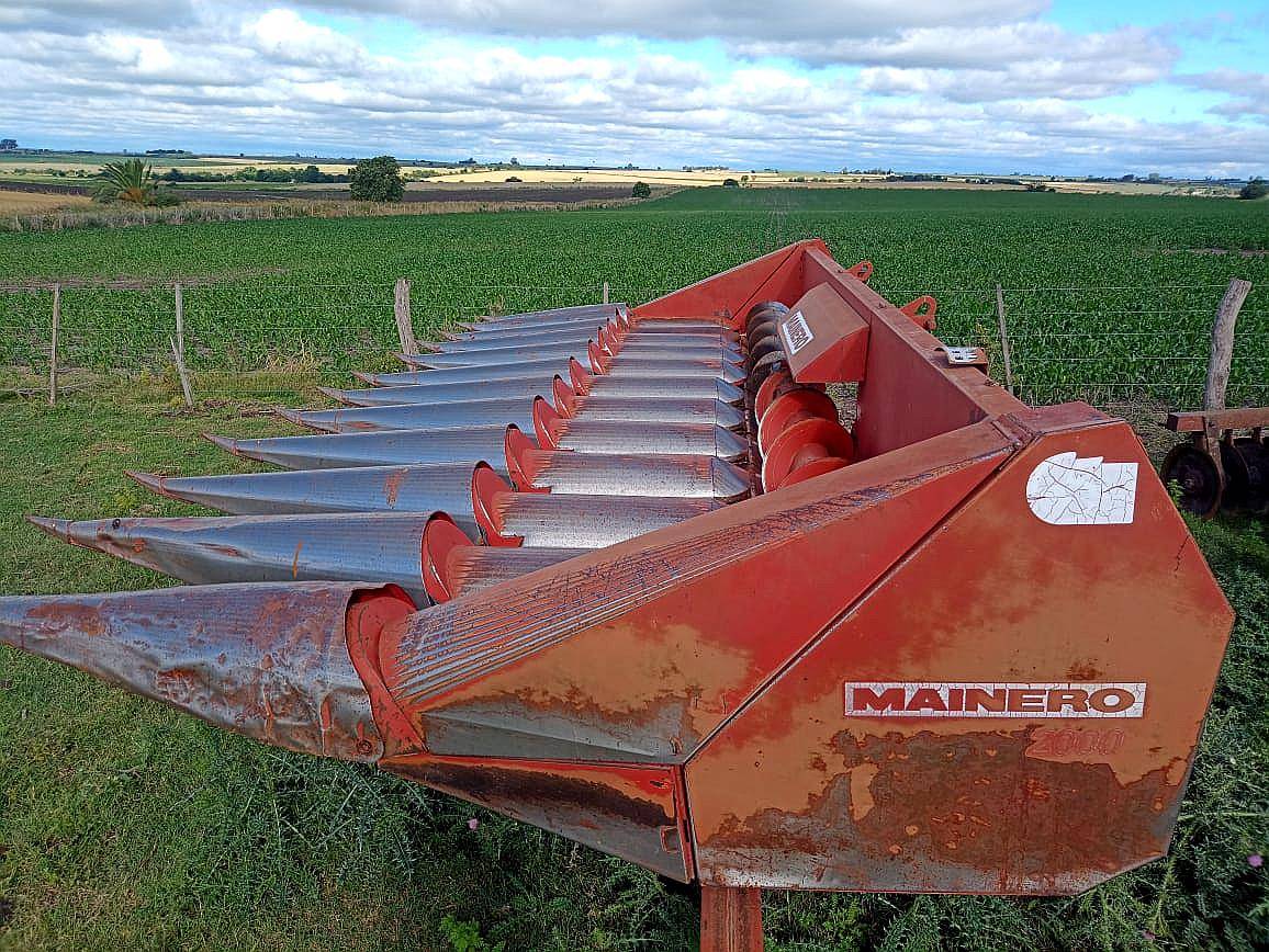 Maicero Mainero 2000 de 11 a 52