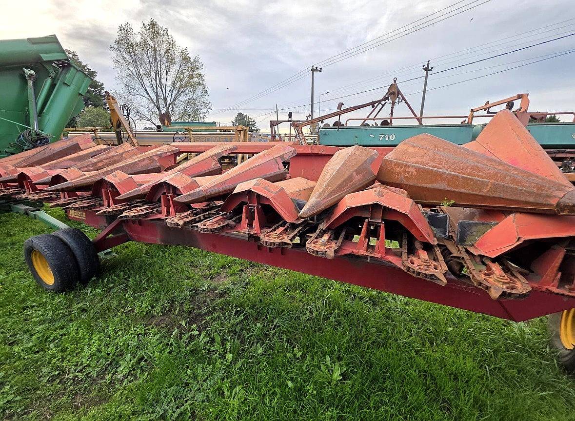 Maicero Maizco de 8 a 70 cm