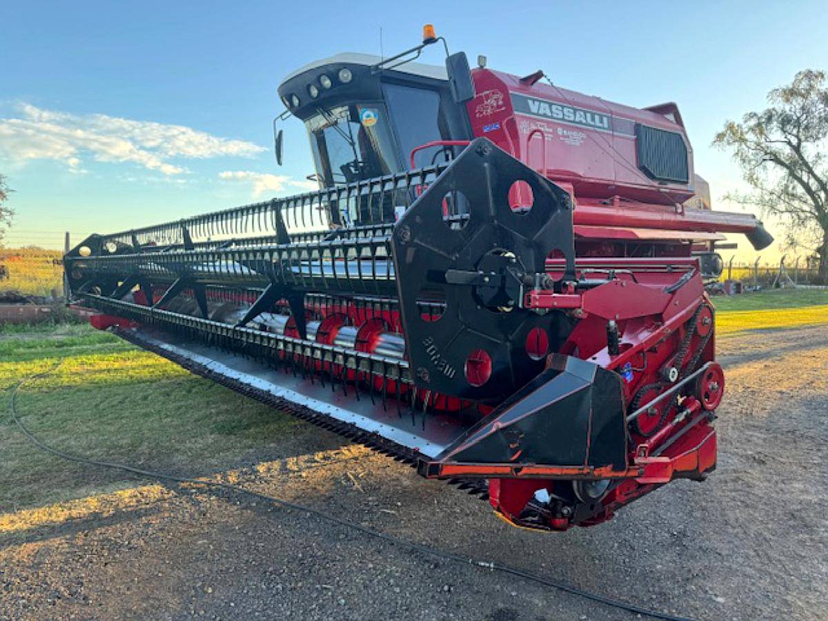 Vassalli 1550 año 2009