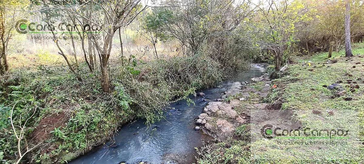 Se Vende Quinta de 5 Ha con Casa en Posadas. Misiones