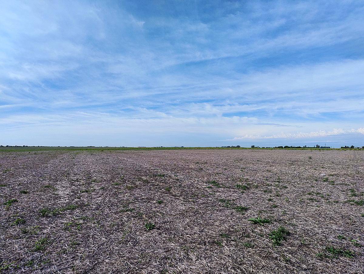 Vendo 135 Has Agricolas Basavilbaso ER