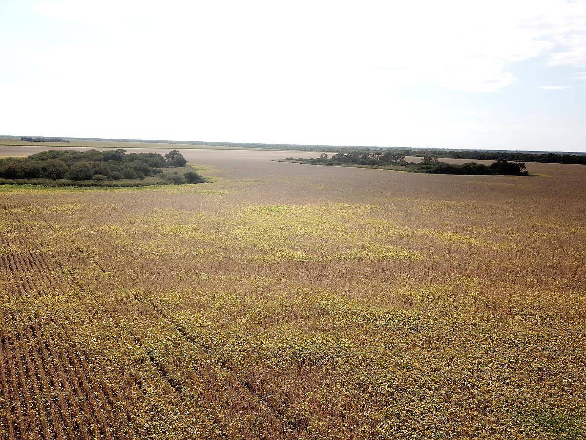 Sachayoj 850 Hectáreas Agricolas