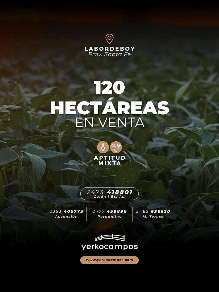 120 Has Mixtas en Labordeboy