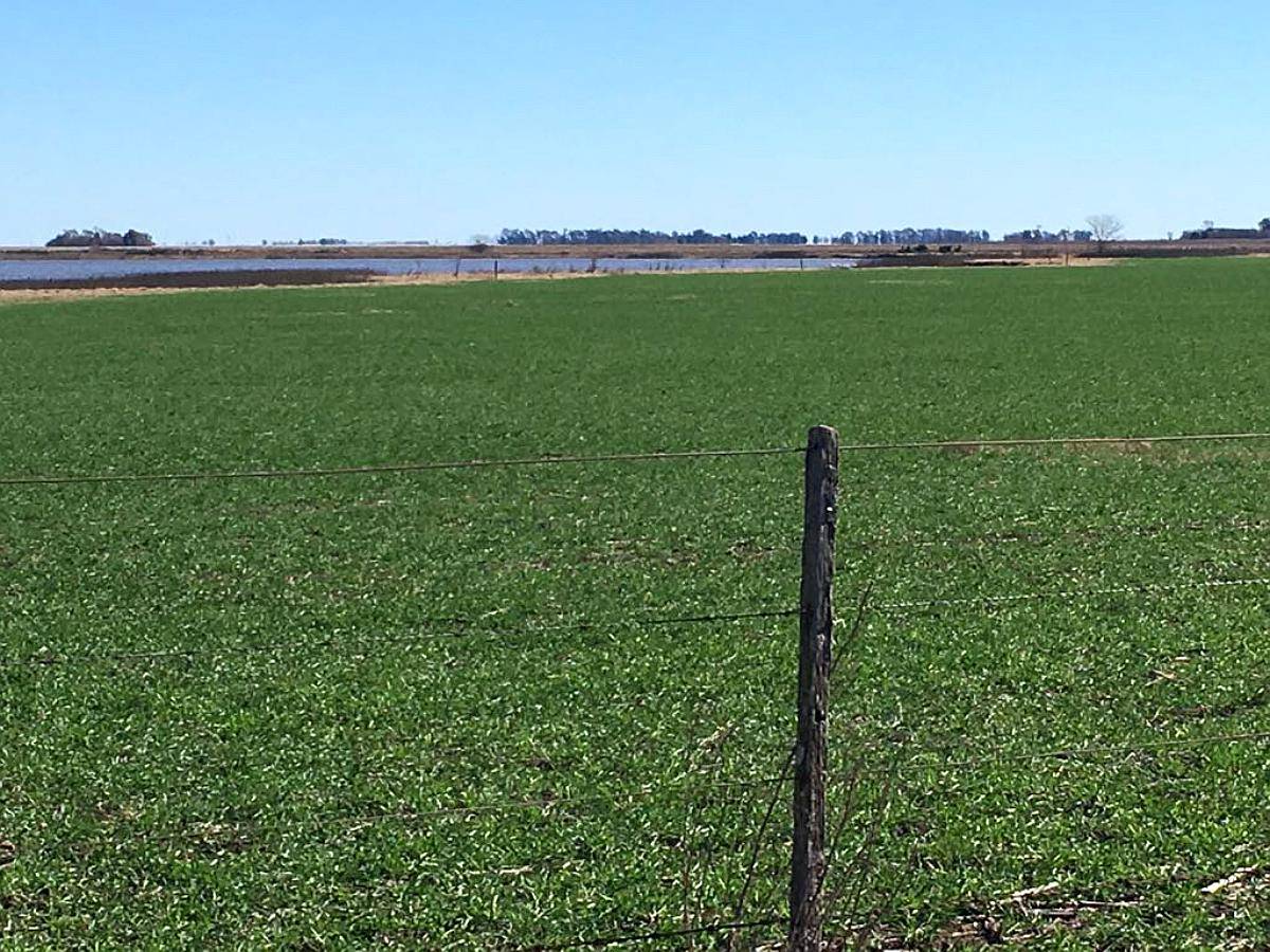 200 Has en Elortondo