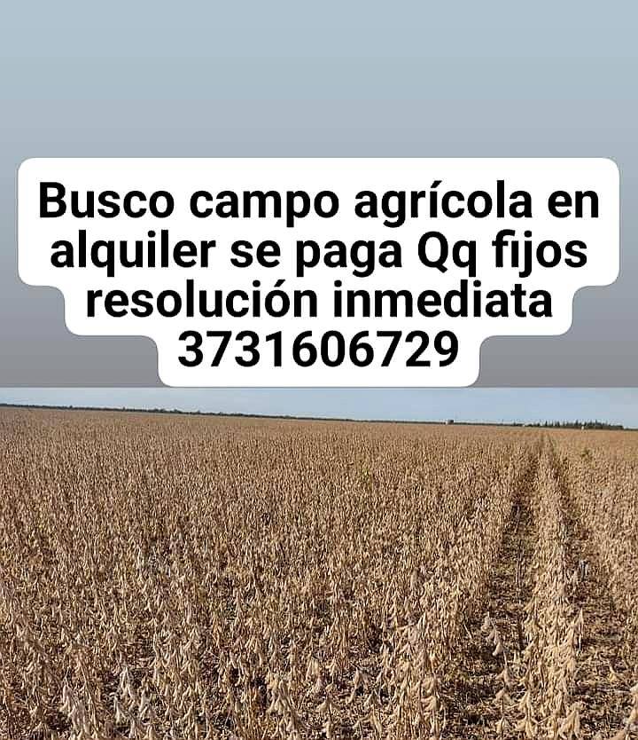 Busco Campo Agrícola en Alquiler
