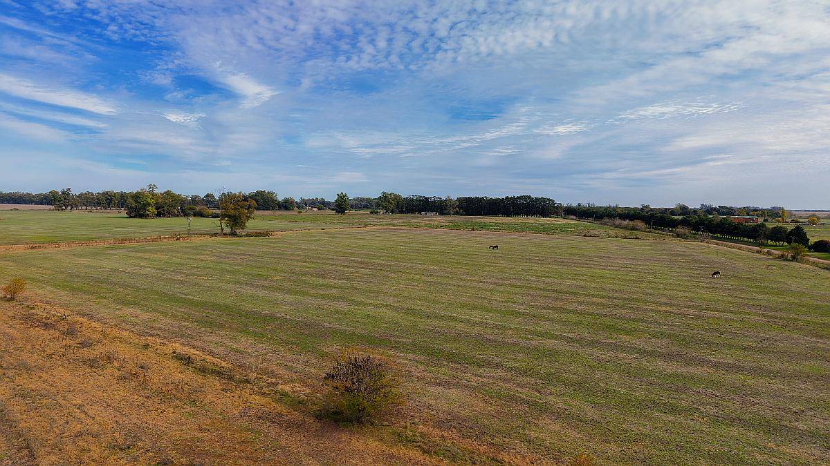 Fracción de Campo 100 % Agrícola en San Andrés de Giles.