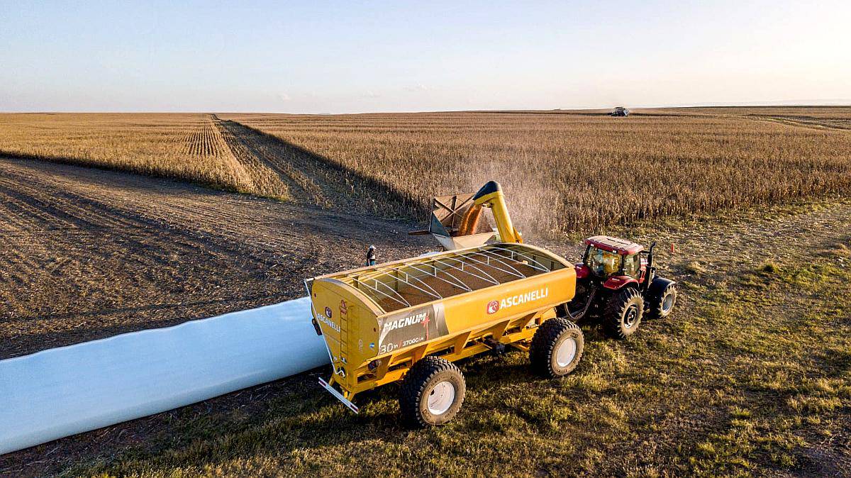 Tolva Autodescargable Ascanelli Magnum+ 30 TN, Nueva.