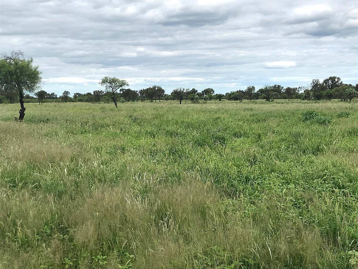Campo Ganadero - Listo para Escriturar