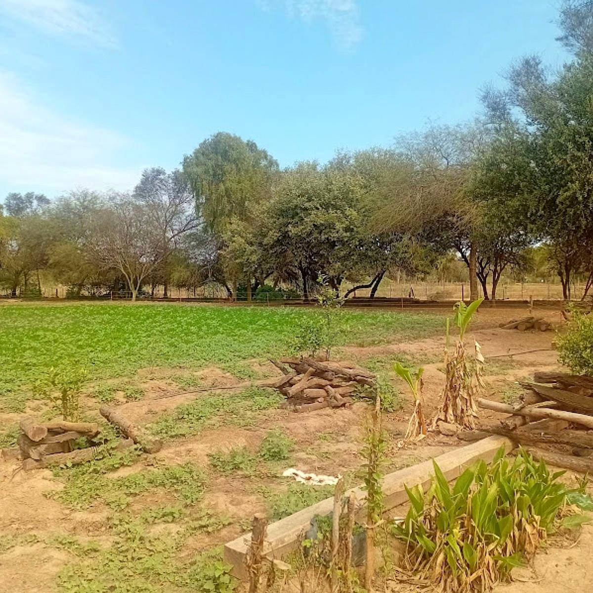 Vendo Campito en Nueva Francia SGO del Estero