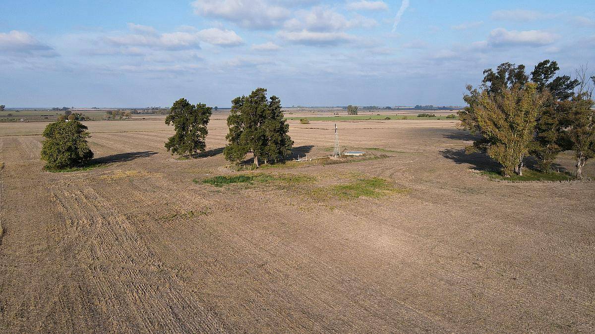 220 Hectáreas Campo Agrícola en Gualeguaychú.
