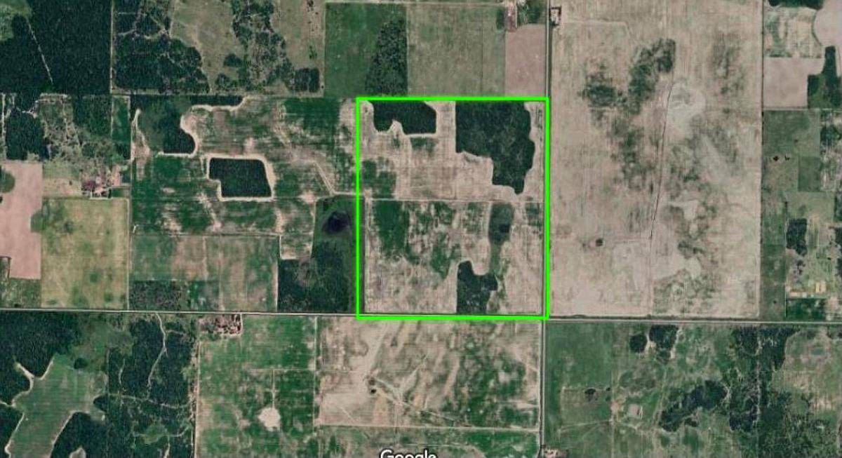 Campo Agrícola 168 Has - a 8 km de San Bernardo Chaco