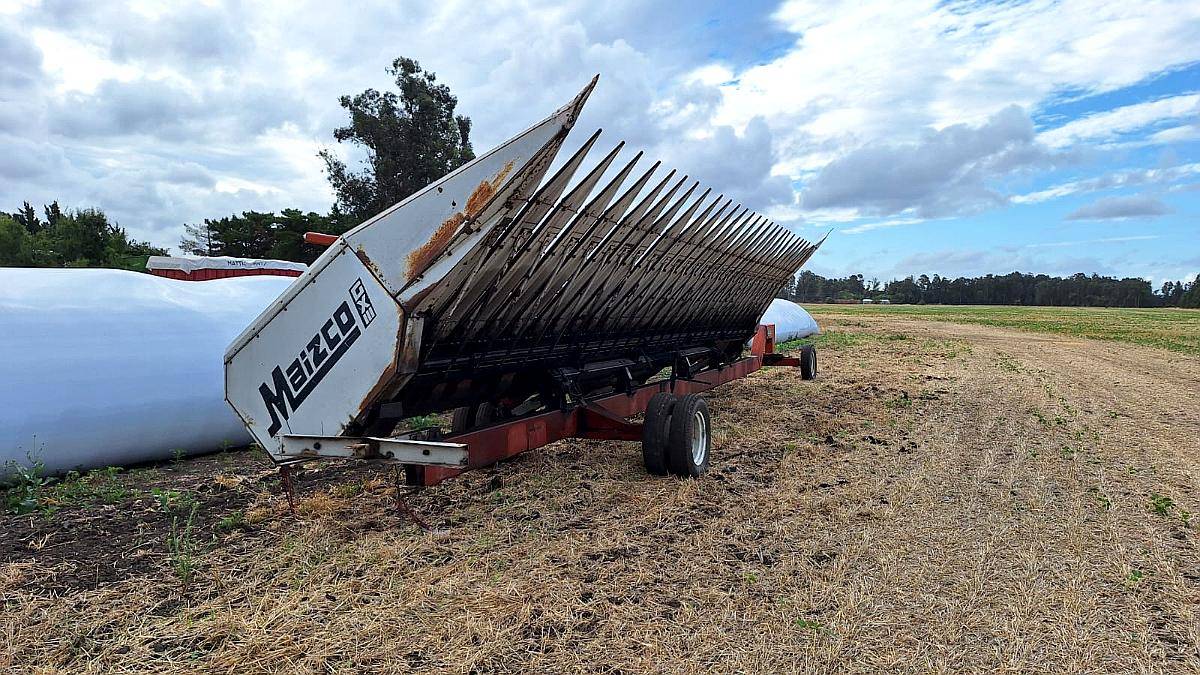 Cabezal Girasolero Maizco Gxiii de 14 a 70 o 19 a 52