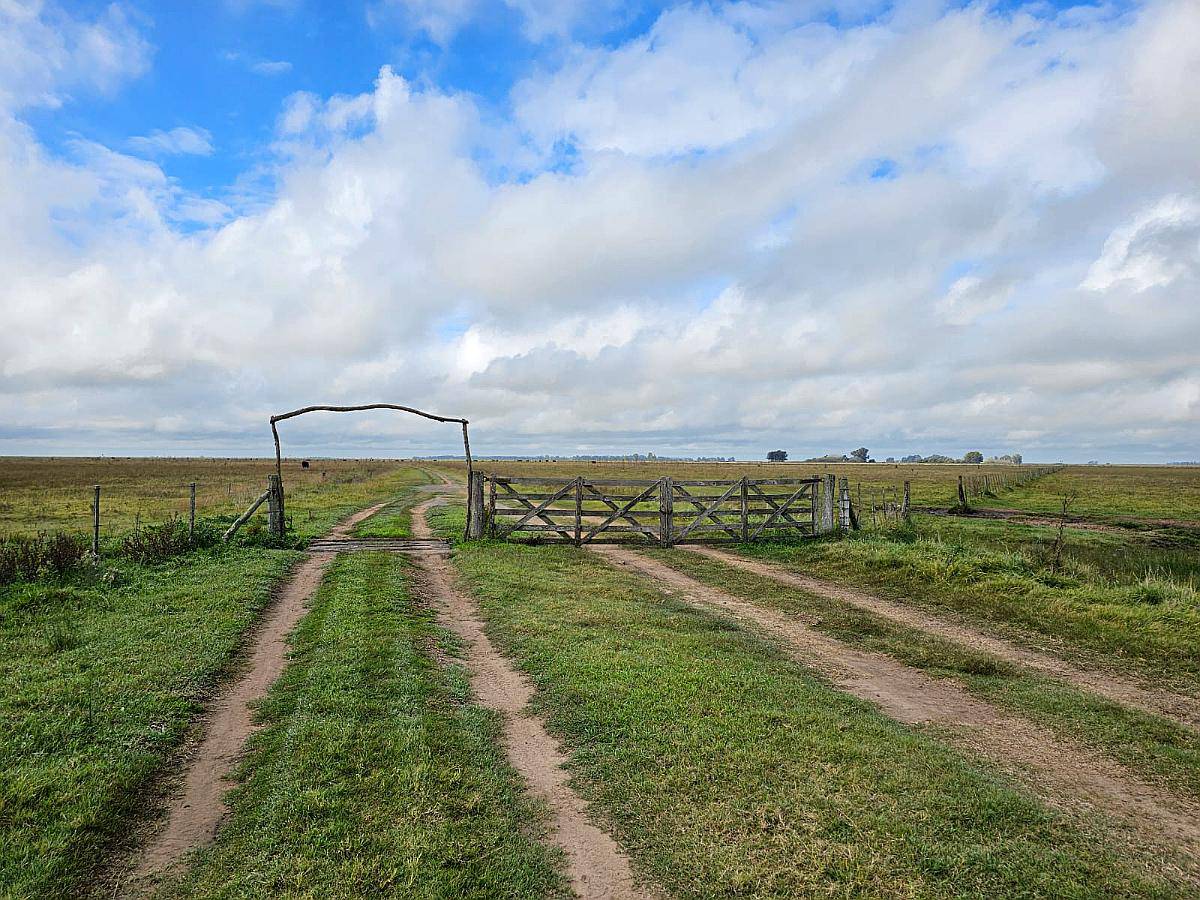 Alquiler Campo Cria 72 Kg/ha