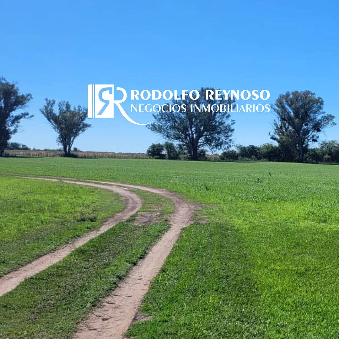 700 HA. en Gualeguaychú, Entre Ríos