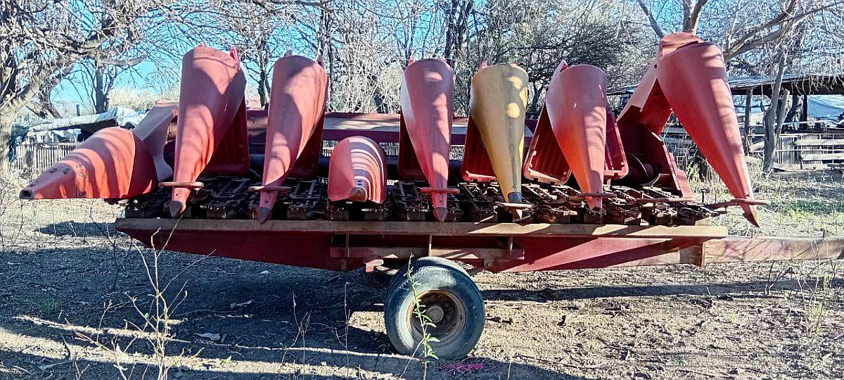 Cabezal Maicero de Grande 8 a 52