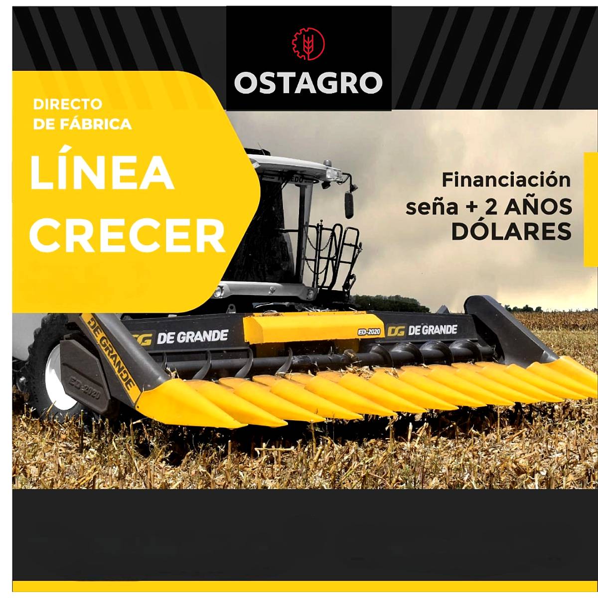 Maicero de Grande Freedom - Financiacion Directa