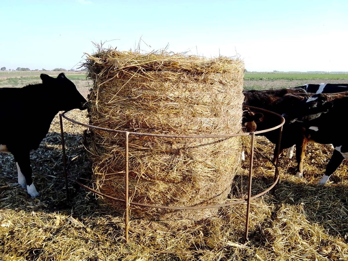 Aros para Rollos (sin Iva)