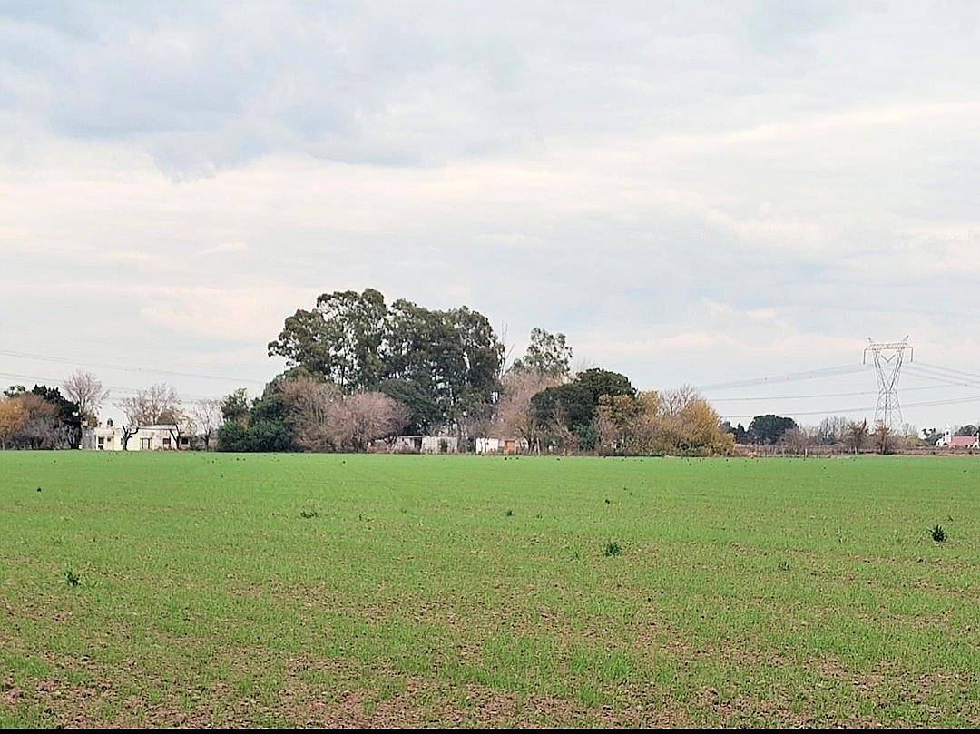 Vendo Excelente Lote de 12.5 H Agrícola con Mejoras