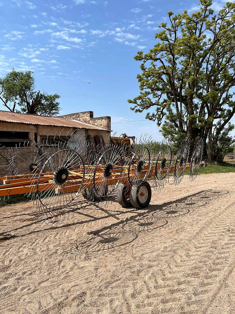 Rastrillo 12 Estrellas Agroindustria