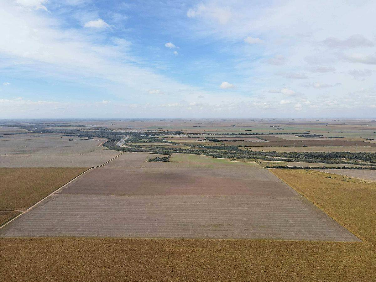 Pcia. de Cordoba - Lozada 72 Ha